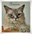 /album/benson/benson-2014-07-14-02-jpg/